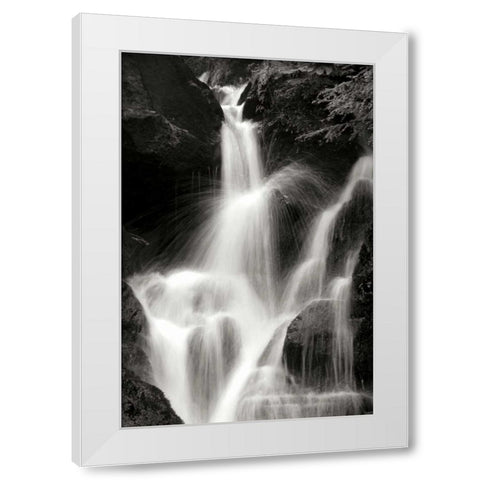 Falling Water II BW White Modern Wood Framed Art Print by Taylor, Douglas