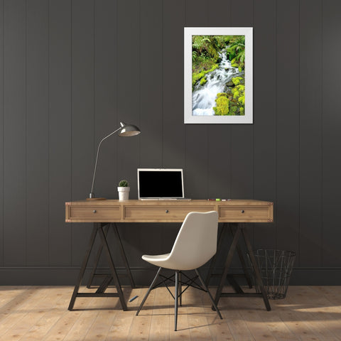 Mountain Stream White Modern Wood Framed Art Print by Taylor, Douglas