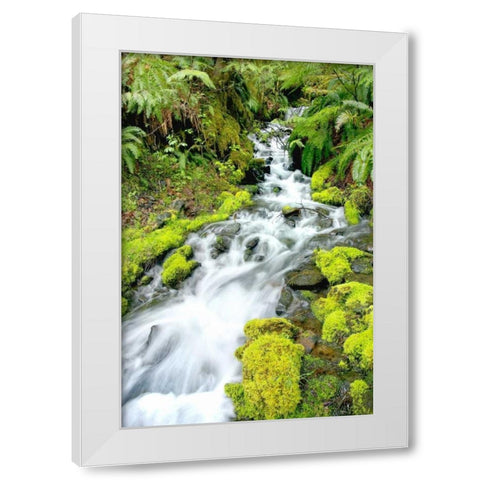 Mountain Stream White Modern Wood Framed Art Print by Taylor, Douglas