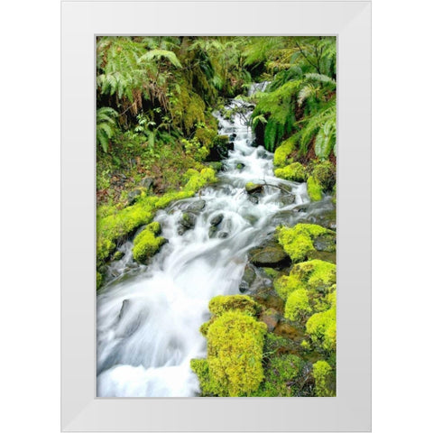 Mountain Stream White Modern Wood Framed Art Print by Taylor, Douglas