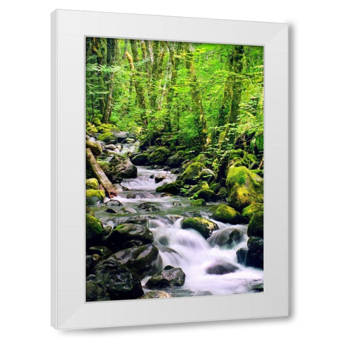 Snowmelt White Modern Wood Framed Art Print by Taylor, Douglas