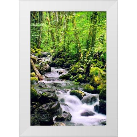Snowmelt White Modern Wood Framed Art Print by Taylor, Douglas