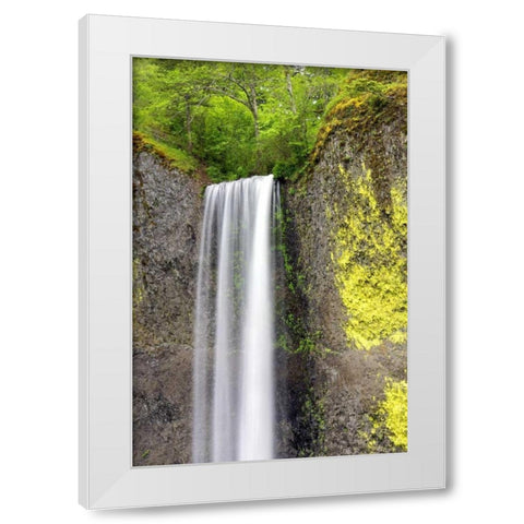 Latourell Falls White Modern Wood Framed Art Print by Taylor, Douglas