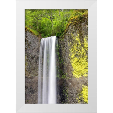 Latourell Falls White Modern Wood Framed Art Print by Taylor, Douglas
