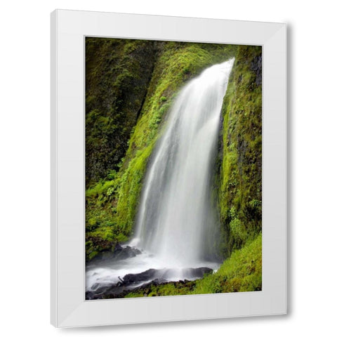 Wahkeena Falls White Modern Wood Framed Art Print by Taylor, Douglas