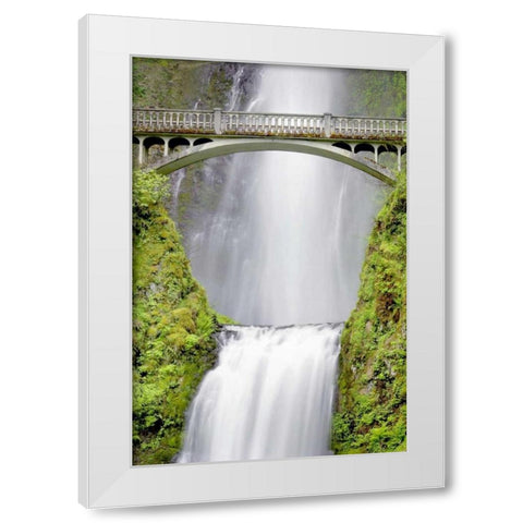 Water Under the Bridge White Modern Wood Framed Art Print by Taylor, Douglas