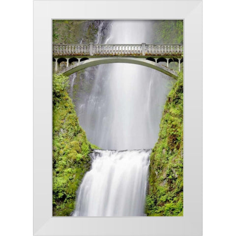 Water Under the Bridge White Modern Wood Framed Art Print by Taylor, Douglas