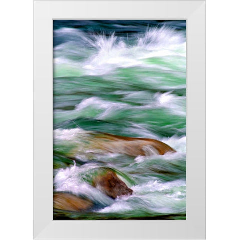 By the River II White Modern Wood Framed Art Print by Taylor, Douglas