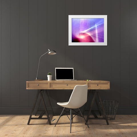 Sunken Forest White Modern Wood Framed Art Print by Taylor, Douglas