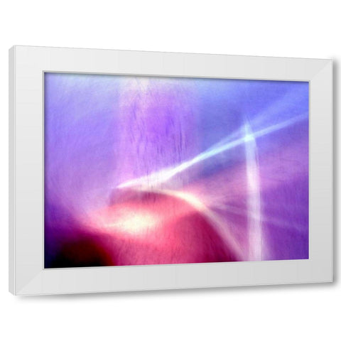 Sunken Forest White Modern Wood Framed Art Print by Taylor, Douglas