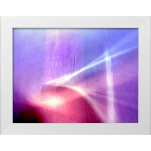 Sunken Forest White Modern Wood Framed Art Print by Taylor, Douglas