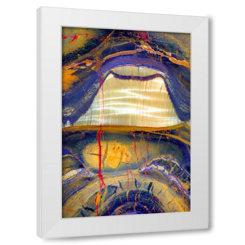 Tiger Eye White Modern Wood Framed Art Print by Taylor, Douglas