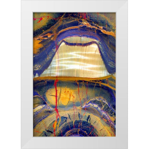 Tiger Eye White Modern Wood Framed Art Print by Taylor, Douglas