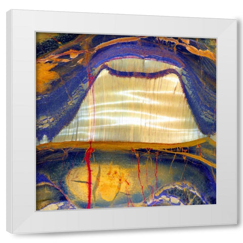 Tiger Eye Sq White Modern Wood Framed Art Print by Taylor, Douglas