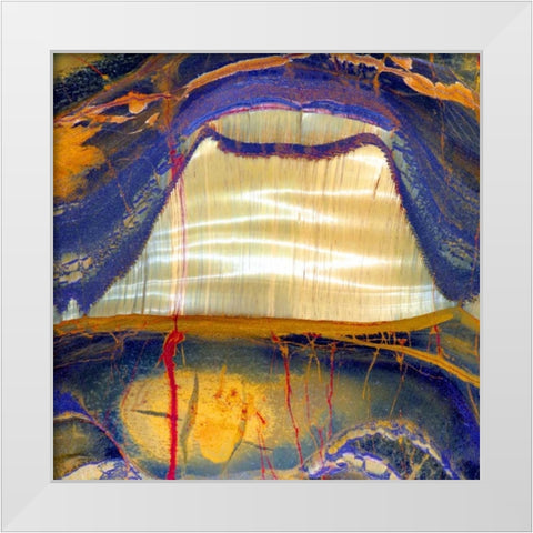 Tiger Eye Sq White Modern Wood Framed Art Print by Taylor, Douglas