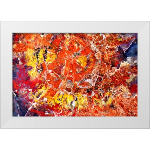 Kaleidoscope of Minerals White Modern Wood Framed Art Print by Taylor, Douglas
