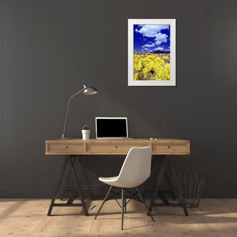 Palo Verde Bloom White Modern Wood Framed Art Print by Taylor, Douglas