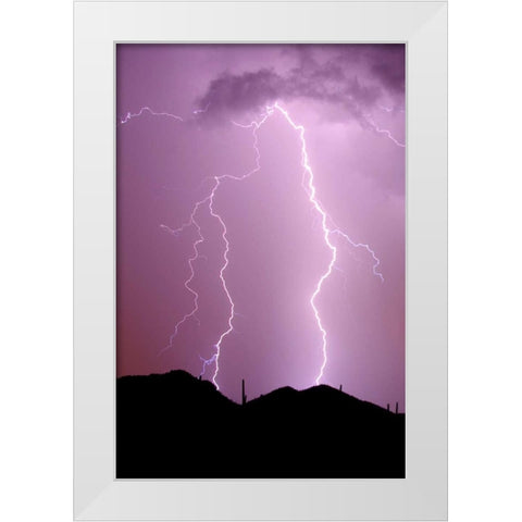 Summer Lightning White Modern Wood Framed Art Print by Taylor, Douglas