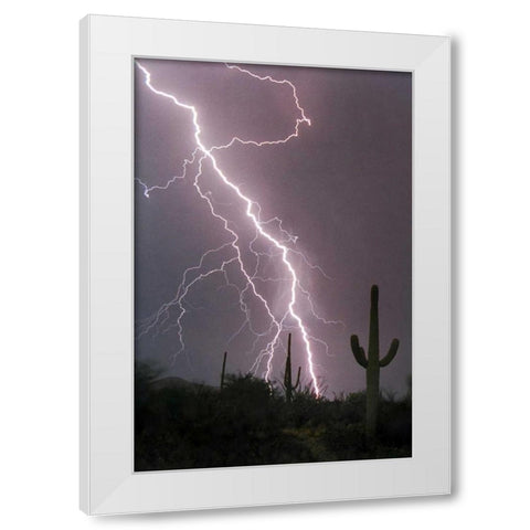 Fire and Rain White Modern Wood Framed Art Print by Taylor, Douglas