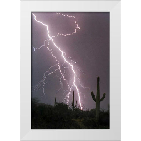 Fire and Rain White Modern Wood Framed Art Print by Taylor, Douglas
