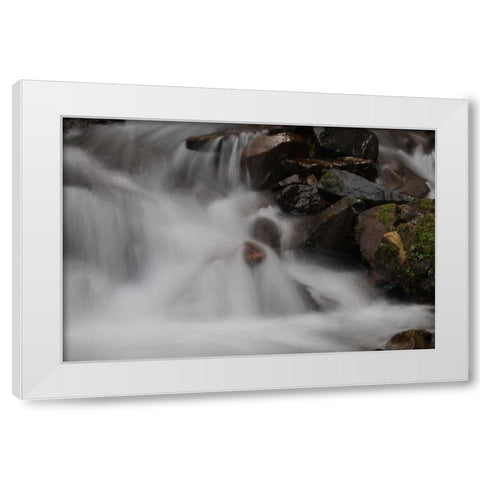 Stream Falls I White Modern Wood Framed Art Print by Thomas, Logan