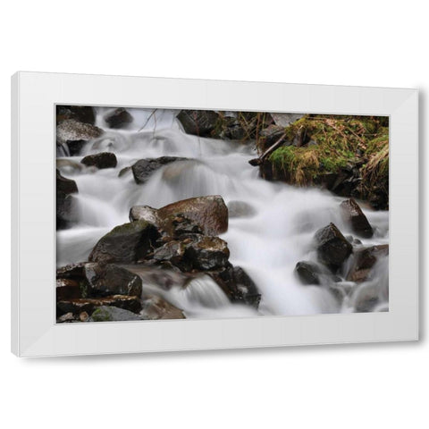 Stream Falls II White Modern Wood Framed Art Print by Thomas, Logan