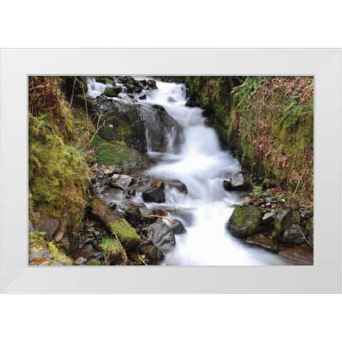 Stream Falls VII White Modern Wood Framed Art Print by Thomas, Logan