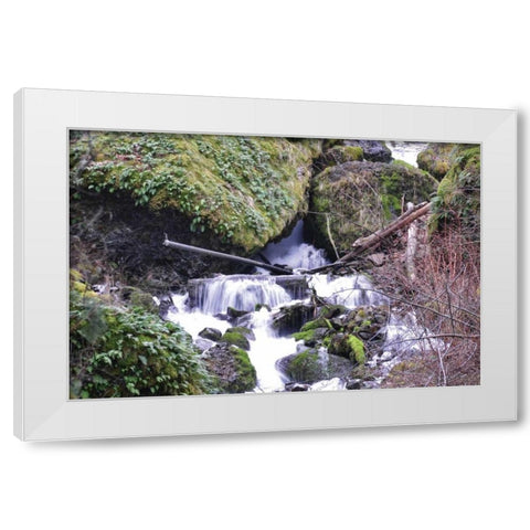 Stream Falls VIII White Modern Wood Framed Art Print by Thomas, Logan