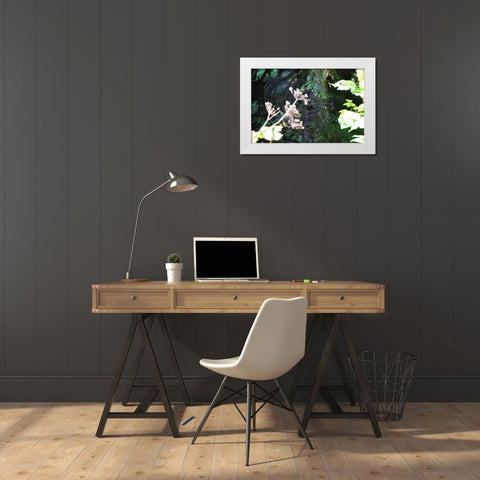 Spiderweb I White Modern Wood Framed Art Print by Thomas, Logan