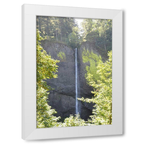 Distant Waterfall White Modern Wood Framed Art Print by Thomas, Logan