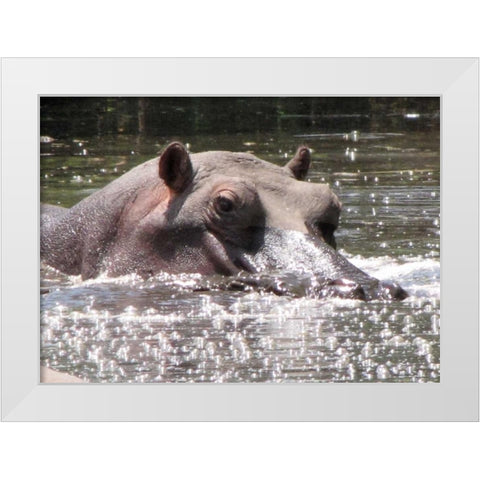 Hippo I White Modern Wood Framed Art Print by Underdahl, Dana
