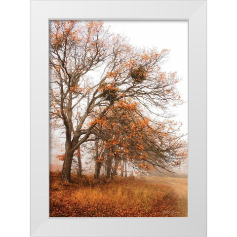 Autumn Lane White Modern Wood Framed Art Print by Geyman, Vitaly