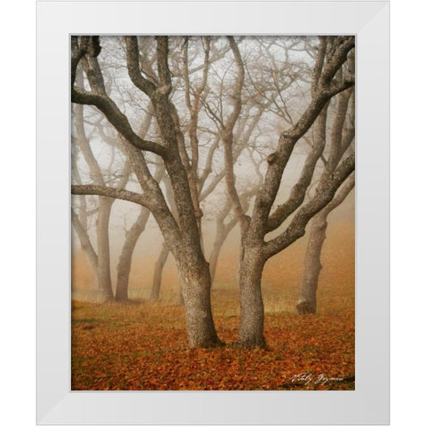 Misty Dance White Modern Wood Framed Art Print by Geyman, Vitaly