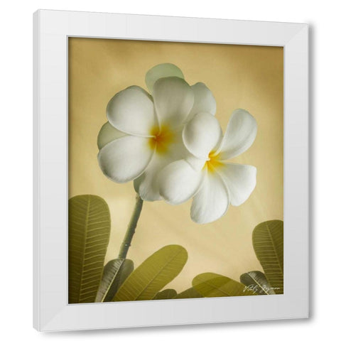 Oriental Plumeria I White Modern Wood Framed Art Print by Geyman, Vitaly