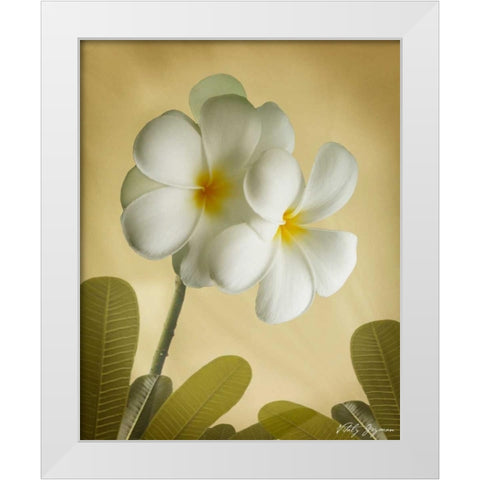 Oriental Plumeria I White Modern Wood Framed Art Print by Geyman, Vitaly