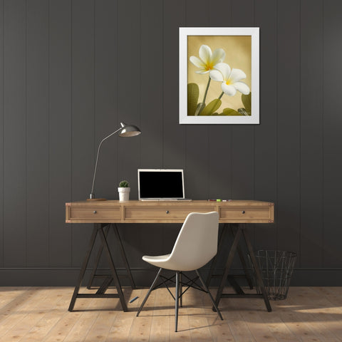 Oriental Plumeria II White Modern Wood Framed Art Print by Geyman, Vitaly