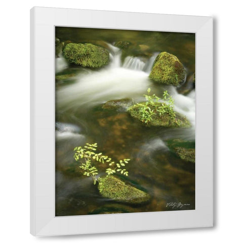Soothing Waters III White Modern Wood Framed Art Print by Geyman, Vitaly