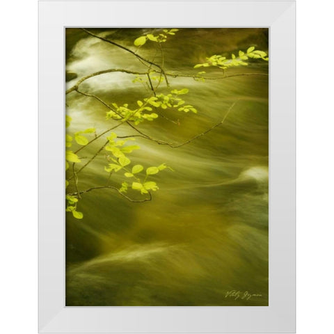 Soothing Waters VII White Modern Wood Framed Art Print by Geyman, Vitaly
