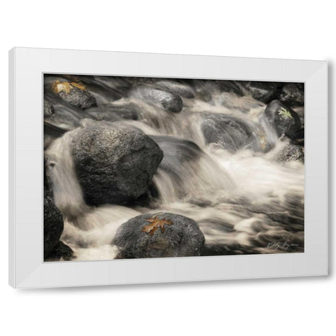 Silver Falls I White Modern Wood Framed Art Print by Geyman, Vitaly