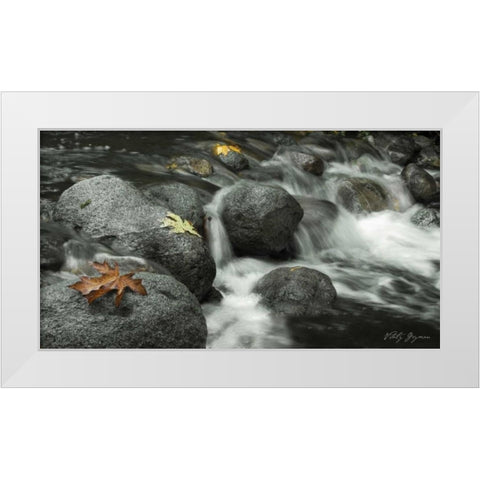 Silver Falls II White Modern Wood Framed Art Print by Geyman, Vitaly