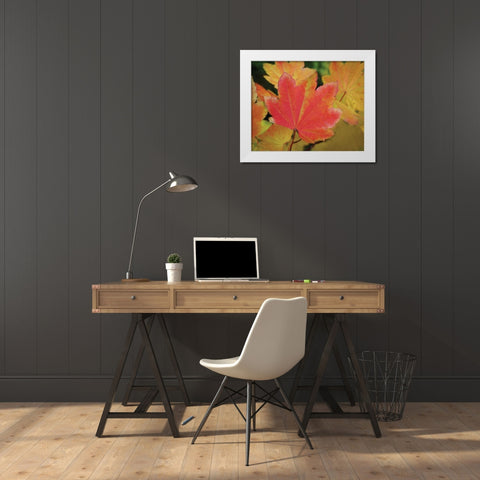 Maple Leaves Perfection II White Modern Wood Framed Art Print by Geyman, Vitaly