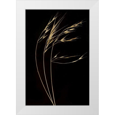 Grass Mosaic II White Modern Wood Framed Art Print by Geyman, Vitaly