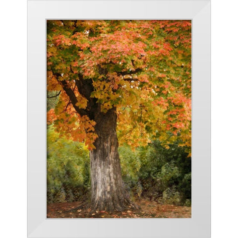 Fall Maple Fever I White Modern Wood Framed Art Print by Geyman, Vitaly