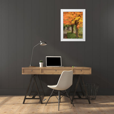 Fall Maple Fever II White Modern Wood Framed Art Print by Geyman, Vitaly