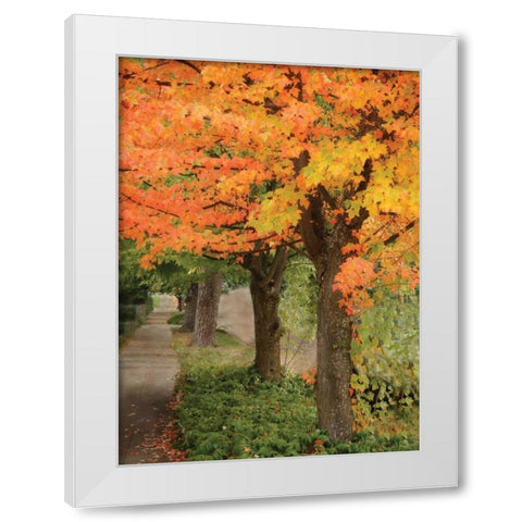Fall Maple Fever II White Modern Wood Framed Art Print by Geyman, Vitaly