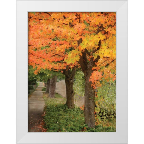 Fall Maple Fever II White Modern Wood Framed Art Print by Geyman, Vitaly