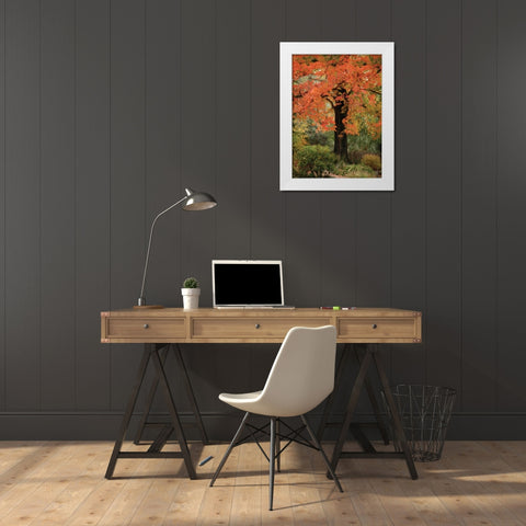 Fall Maple Fever III White Modern Wood Framed Art Print by Geyman, Vitaly