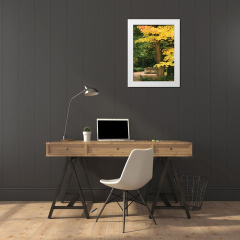 Fall Maple Fever XI White Modern Wood Framed Art Print by Geyman, Vitaly