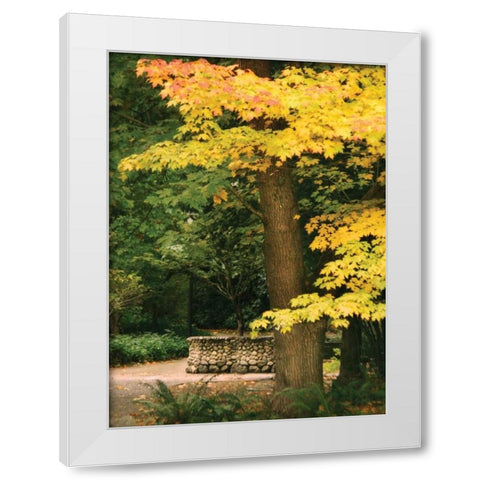 Fall Maple Fever XI White Modern Wood Framed Art Print by Geyman, Vitaly