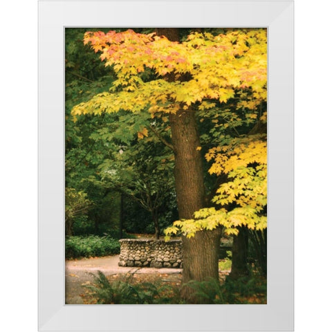 Fall Maple Fever XI White Modern Wood Framed Art Print by Geyman, Vitaly